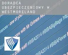 Doradca ubezpieczeniowy w  Westmoreland