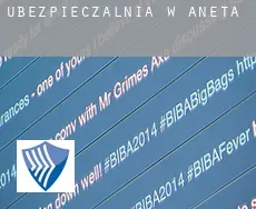 Ubezpieczalnia w  Aneta
