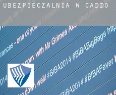 Ubezpieczalnia w  Caddo