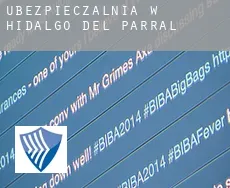 Ubezpieczalnia w  Hidalgo del Parral