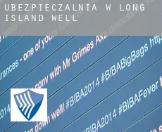 Ubezpieczalnia w  Long Island Well