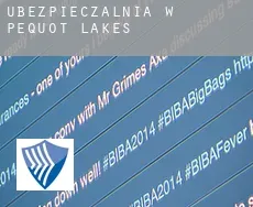 Ubezpieczalnia w  Pequot Lakes
