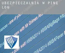 Ubezpieczalnia w  Pine Log