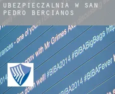 Ubezpieczalnia w  San Pedro Bercianos