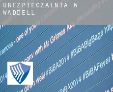 Ubezpieczalnia w  Waddell