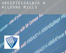 Ubezpieczalnia w  Wilsons Mills