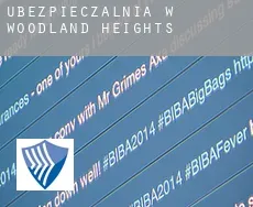 Ubezpieczalnia w  Woodland Heights