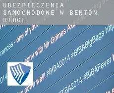 Ubezpieczenia samochodowe w Benton Ridge
