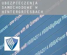 Ubezpieczenia samochodowe w  Hintergriesbach