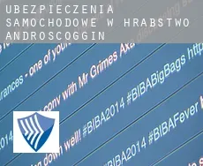 Ubezpieczenia samochodowe w  Hrabstwo Androscoggin