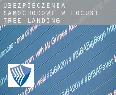 Ubezpieczenia samochodowe w  Locust Tree Landing