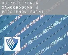 Ubezpieczenia samochodowe w  Persimmon Point