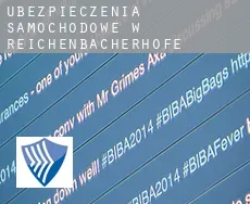 Ubezpieczenia samochodowe w  Reichenbacherhöfe