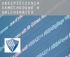 Ubezpieczenia samochodowe w  Salchenried