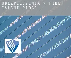 Ubezpieczenia w  Pine Island Ridge