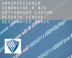 Ubezpieczenia zdrowotne w  Big Cottonwood Canyon Resorts