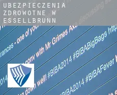 Ubezpieczenia zdrowotne w  Essellbrunn