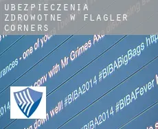 Ubezpieczenia zdrowotne w  Flagler Corners