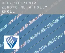 Ubezpieczenia zdrowotne w  Holly Knoll
