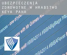 Ubezpieczenia zdrowotne w  Hrabstwo Keya Paha