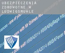 Ubezpieczenia zdrowotne w  Ludwigsmühle