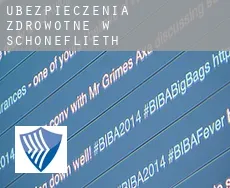 Ubezpieczenia zdrowotne w  Schöneflieth