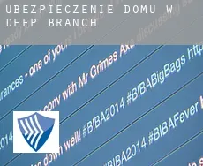 Ubezpieczenie domu w  Deep Branch