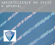 Ubezpieczenie na życie w  Apunyal