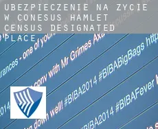 Ubezpieczenie na życie w  Conesus Hamlet