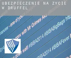 Ubezpieczenie na życie w  Druffel