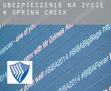 Ubezpieczenie na życie w  Spring Creek
