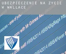 Ubezpieczenie na życie w  Wallace
