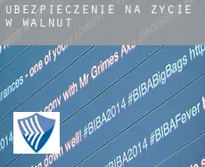 Ubezpieczenie na życie w Walnut