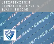 Ubezpieczenie stomatologiczne w  Black Bridge