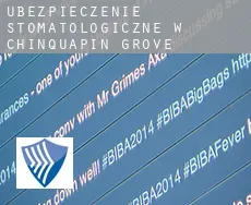 Ubezpieczenie stomatologiczne w  Chinquapin Grove