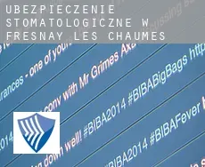 Ubezpieczenie stomatologiczne w  Fresnay-les-Chaumes