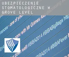 Ubezpieczenie stomatologiczne w  Grove Level