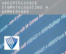 Ubezpieczenie stomatologiczne w  Kammersand