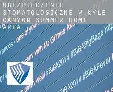 Ubezpieczenie stomatologiczne w  Kyle Canyon Summer Home Area