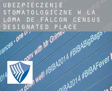 Ubezpieczenie stomatologiczne w La Loma de Falcon