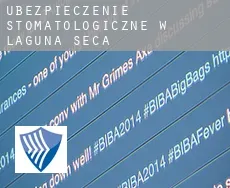 Ubezpieczenie stomatologiczne w  Laguna Seca