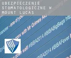 Ubezpieczenie stomatologiczne w  Mount Lucas