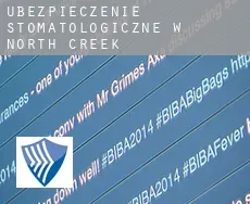 Ubezpieczenie stomatologiczne w  North Creek