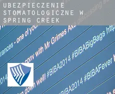 Ubezpieczenie stomatologiczne w  Spring Creek
