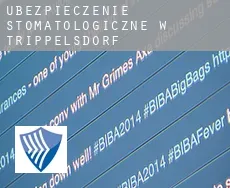 Ubezpieczenie stomatologiczne w  Trippelsdorf