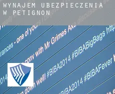 Wynajem ubezpieczenia w  Petignon