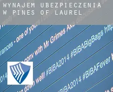 Wynajem ubezpieczenia w  Pines of Laurel
