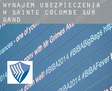 Wynajem ubezpieczenia w  Sainte-Colombe-sur-Gand