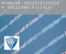 Wynajem ubezpieczenia w  Spezzano Piccolo