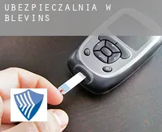 Ubezpieczalnia w  Blevins